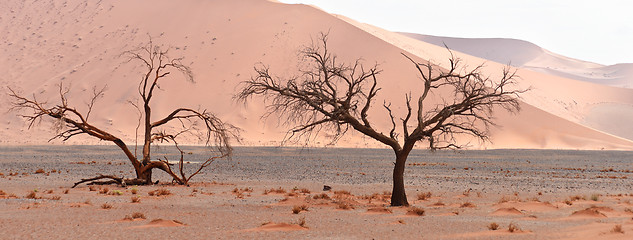 Image showing desert landscape