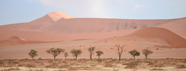 Image showing Namib landscape