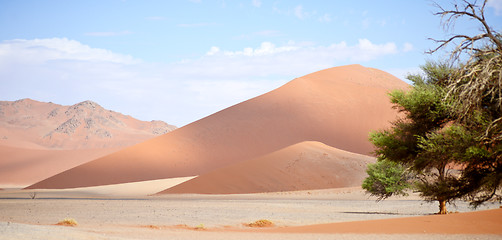 Image showing sand dunes