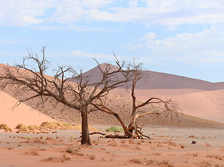 Image showing desert landscape