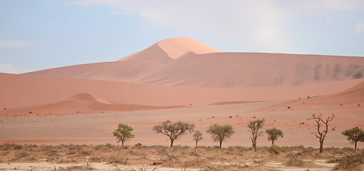 Image showing sand dunes