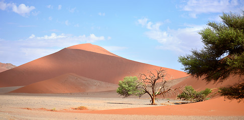 Image showing sand dunes