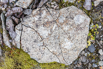 Image showing Frost leaves Destructive Patterns in a Stone