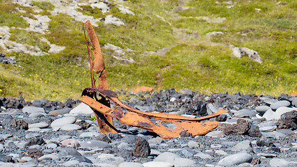 Image showing Remains of a boat wreck - Iceland - Selective focus