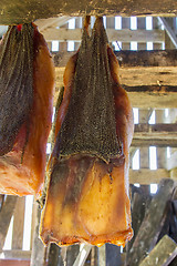 Image showing Iceland\'s fermented shark