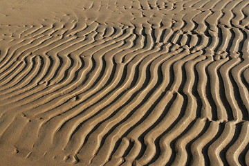 Image showing  striped patterns in the sand
