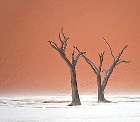 Image showing Sossusvlei, Namibia