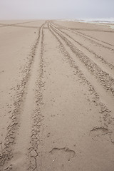 Image showing desert road