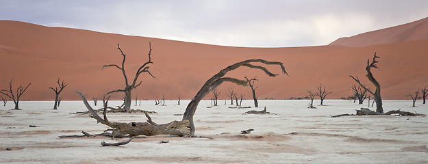 Image showing Sossusvlei, Namibia