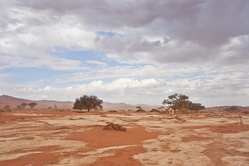 Image showing desert landscape