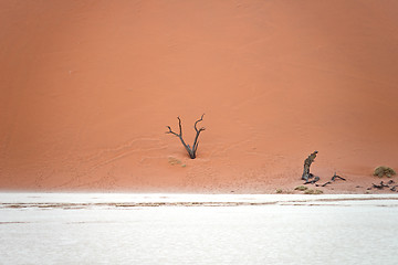 Image showing Sossusvlei, Namibia