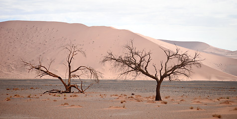 Image showing desert landscape