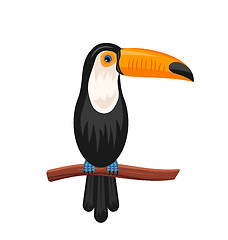 Image showing Funny Toucan Sitting on Branch, Exotic Bird Isolated 