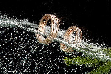 Image showing Golden Rings In The Water