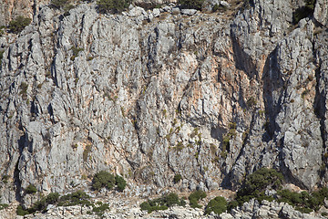 Image showing Vertical cliff wall