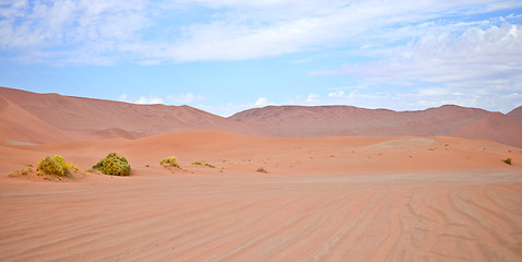 Image showing sand dunes