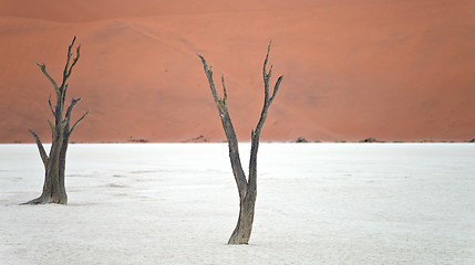 Image showing Sossusvlei, Namibia