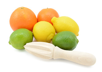 Image showing Six citrus fruits with a wooden reamer