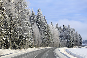 Image showing Snowy Forest by Empty Main Road