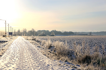 Image showing Winter Footpath in Golden Sunlight