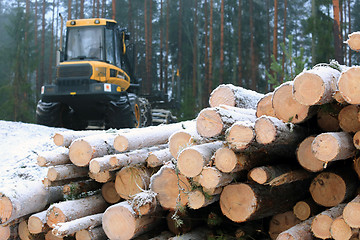 Image showing PONSSE Elk Forest Forwarder and Stack of Logs