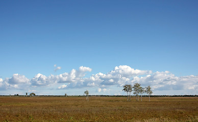 Image showing andscape with clouds and field up to the horizon.