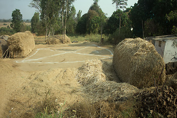 Image showing Poor Indian household (farm). Andhra Pradesh, Anantapur