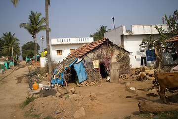 Image showing Poor Indian household (farm) 8. Andhra Pradesh, Anantapur