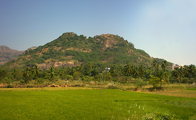 Image showing South India. Fields, groves of palm trees and a mansion in the foothills of the Cardamom mountains