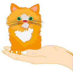Image showing Redhead kitty on palm