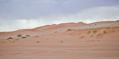 Image showing sand dunes