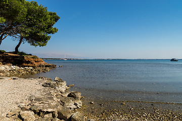 Image showing Island Vir, Croatia