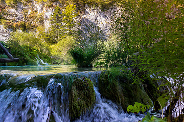 Image showing Plitvice Lakes, Croatia