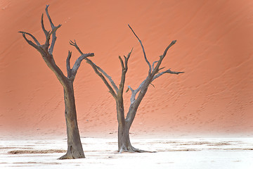 Image showing Sossusvlei, Namibia