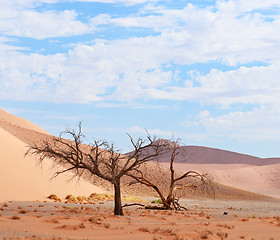 Image showing desert landscape