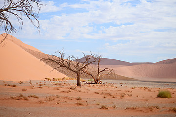 Image showing desert landscape