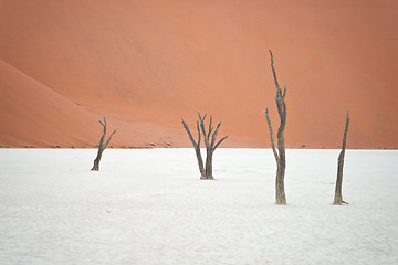 Image showing Sossusvlei, Namibia