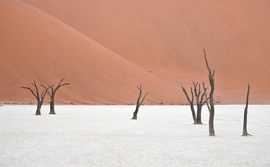 Image showing Sossusvlei, Namibia