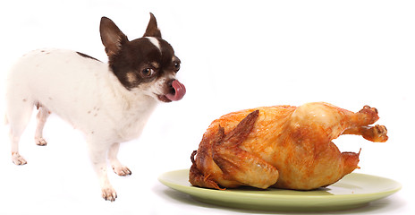 Image showing dog and chicken