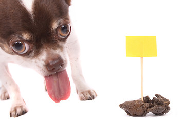 Image showing dog and poo