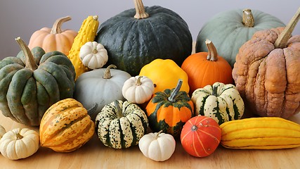 Image showing Squash and pumpkins.