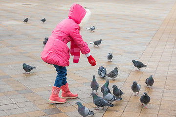 Image showing girl in a pink jacket is feeding bread to the pigeons Square