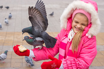 Image showing The girl dodged pigeons, which are fighting for bread