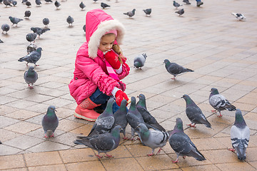 Image showing Seven-year girl in the winter feeding pigeons in the street