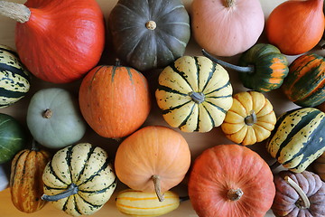 Image showing Squash and pumpkins.