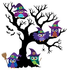 Image showing Owl witches theme image 1