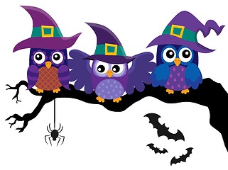 Image showing Owl witches theme image 2