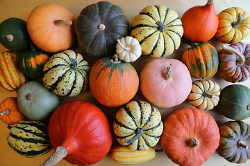 Image showing Squash and pumpkins.