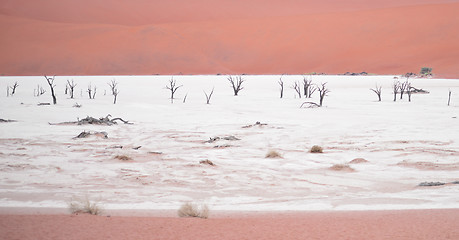 Image showing Sossusvlei, Namibia