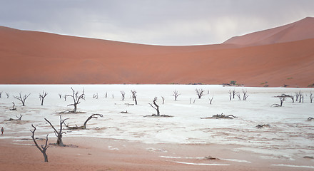 Image showing Sossusvlei, Namibia